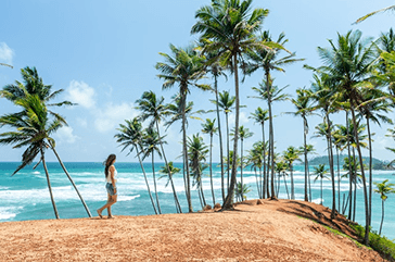 Sri Lanka tropical beach with palm trees