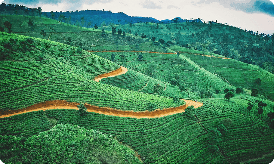 Sri Lanka landscape