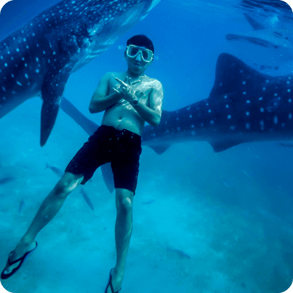 Diving in Sri Lanka